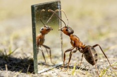 ��֪���Ǻ���Ϣ���ǻ���Ϣ�����Ͽ��ܾ��С�������ʶ��