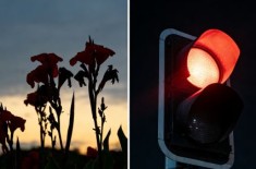 ����β��ΪʲôҪ��Ƴɺ�ɫ��