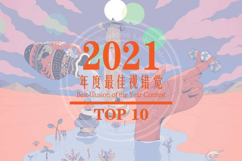 2021年度最佳视错觉 TOP 10