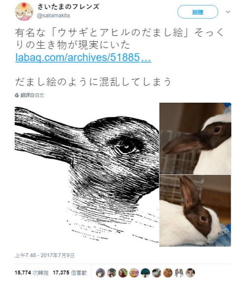 著名的《鸭兔错觉图》竟然出现三次元真实版