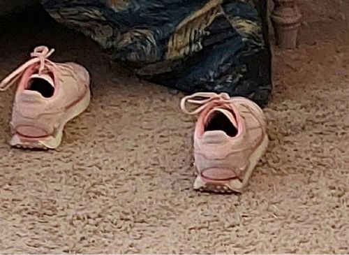 一双粉红球鞋引发的爆笑PS