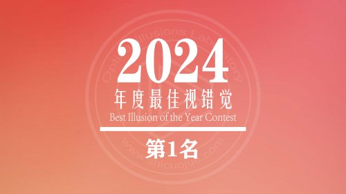 2024Ӵ-Ӵ ƷTOP 10