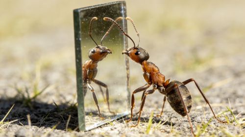 ��֪���Ǻ���Ϣ���ǻ���Ϣ�����Ͽ��ܾ��С�������ʶ��